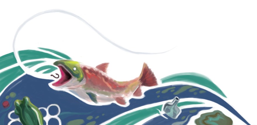 garbage salmon sm stolton